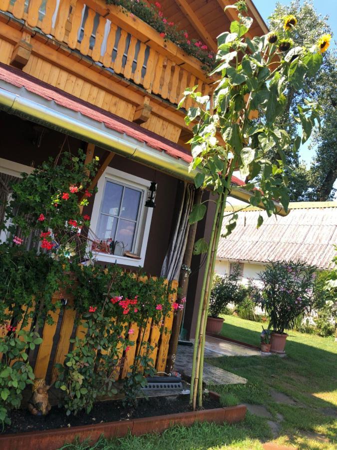 Hero 4 Sterne Ferienhaus バヤ エクステリア 写真